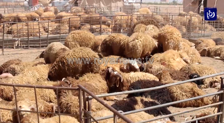 الصورة من الفيديو
