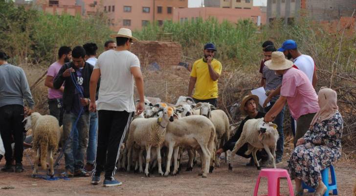 19 دولة تحتفل "الاثنين" بأول أيام عيد الأضحى المبارك