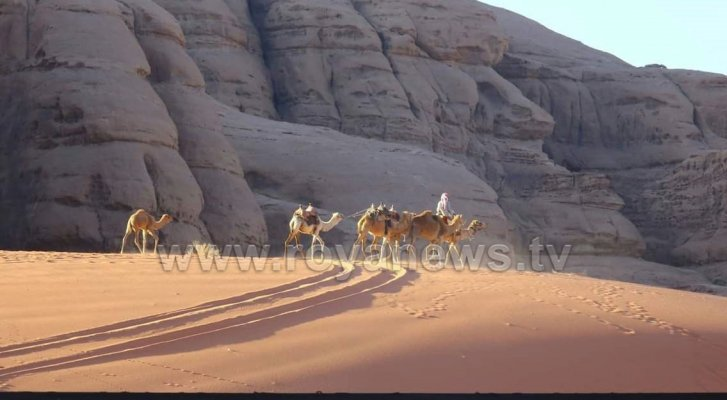 ارشيفية