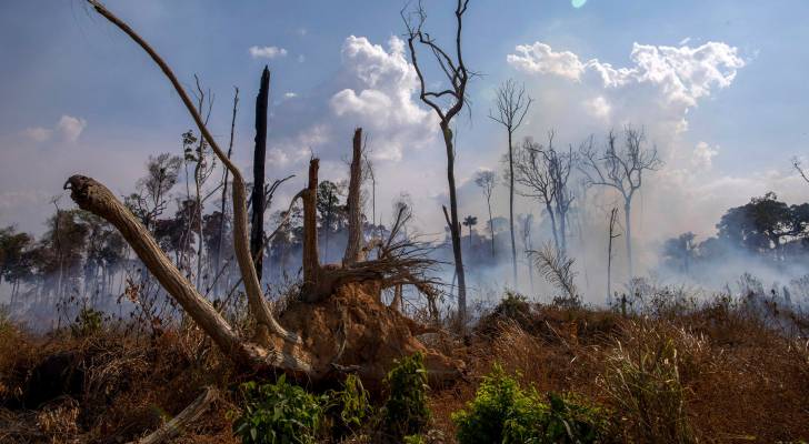 البرازيل ترفض مساعدات مجموعة السبع في انقاذ رئة الأرض.. صور
