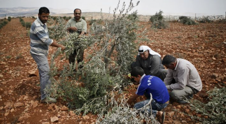 الصورة أرشيفية