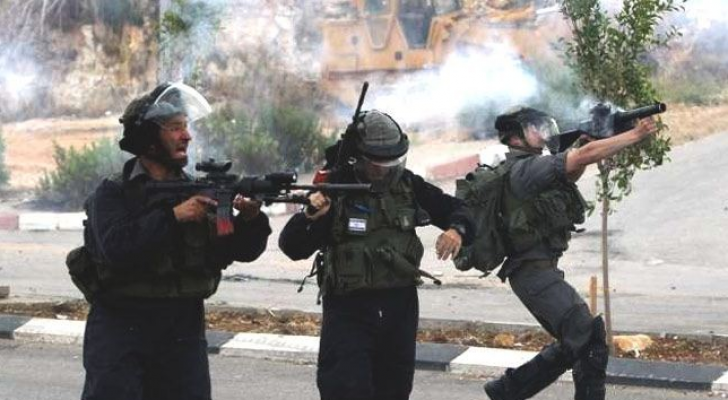 ارشيفية