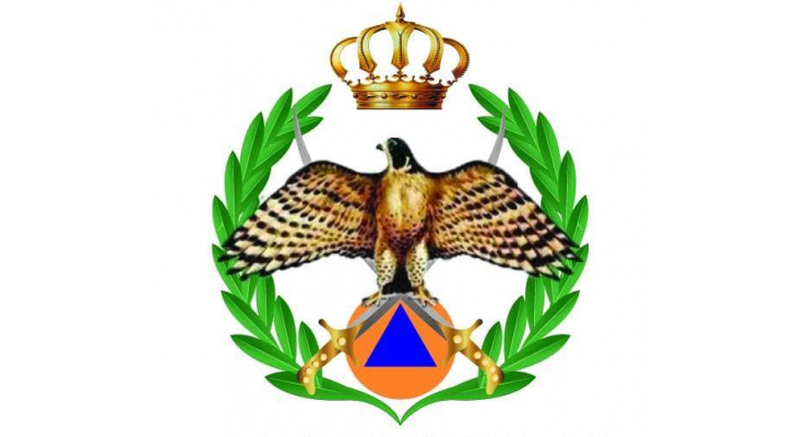 ارشيفية