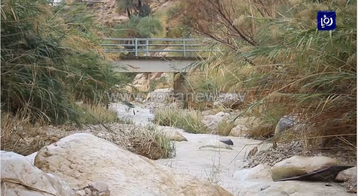 وادي بن حماد