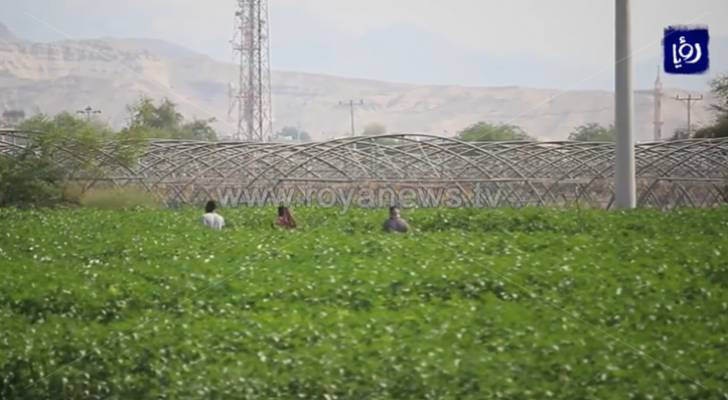تحذير للمزارعين في الأردن من المنخفض الجوي