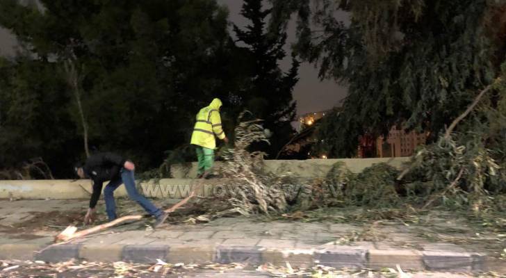 سقوط أجزاء من شجرة بسبب الرياح بالقرب من الدوار الرابع.. صور