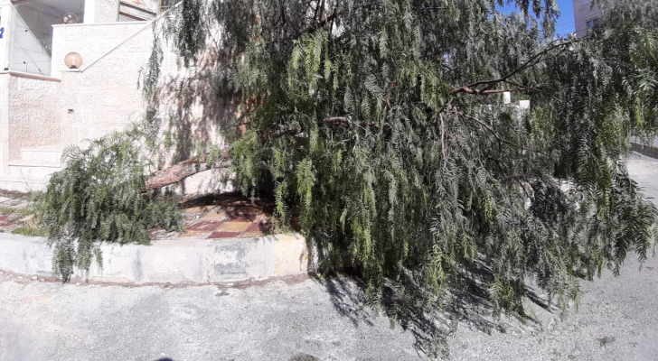 منطقة جبل الزهور شارع عليا بنت المهدي