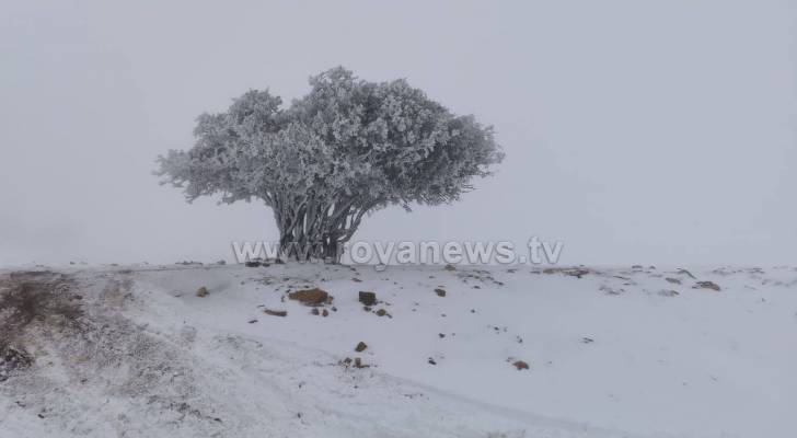 ثلوج كثيفة ومتراكمة على جبال جنوب الأردن.. صور وفيديو