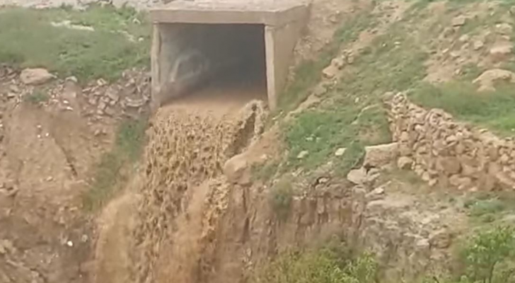 ارشيفية