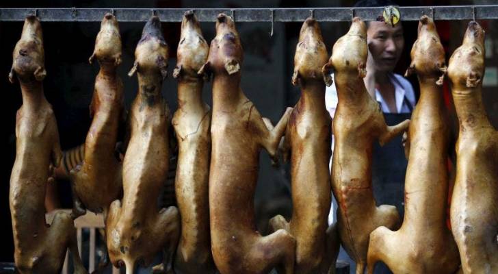 ولاية هندية تحظر بيع لحوم الكلاب