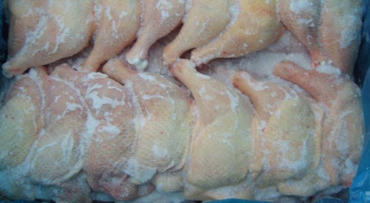 طبيب بيطري أردني يدق ناقوس الخطر ويحذر من استهلاك الدجاج المجمد المستورد