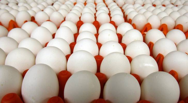 أردنية تعثر على ديدان داخل بيض اشترته من مول شهير في عمان.. فيديو