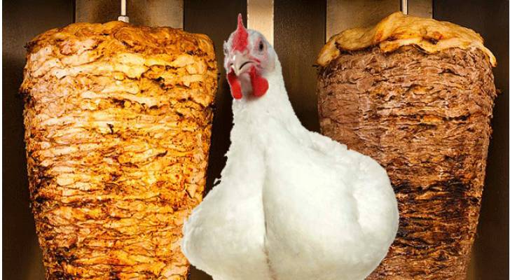 رحلة الدجاجة من المزرعة إلى سيخ الشاورما - فيديو
