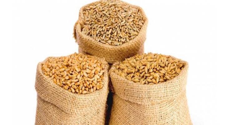 الإعلان عن بيع بذار القمح والشعير للمزارعين بالكرك