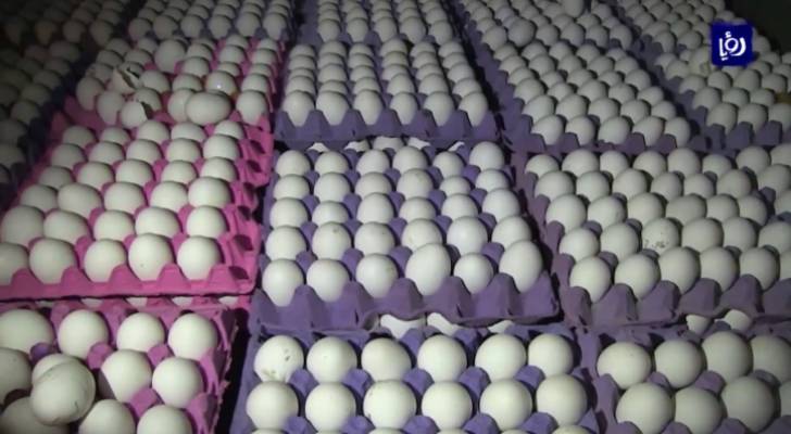 ارتفاع أسعار بيض المائدة بالمفرق جراء الحظر الشامل