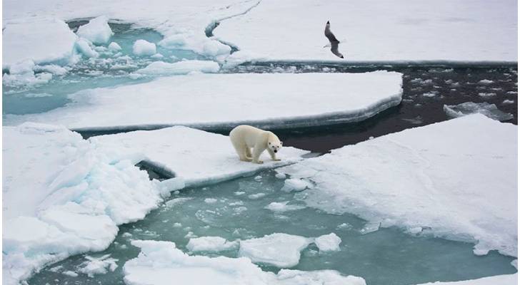 القطب الشمالي يُسجل أعلى درجة حرارة منذ ٣ آلاف سنة