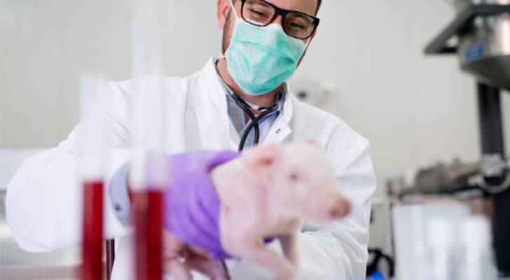 كندا تسجل أول إصابة بإنفلونزا الخنازير لدى البشر