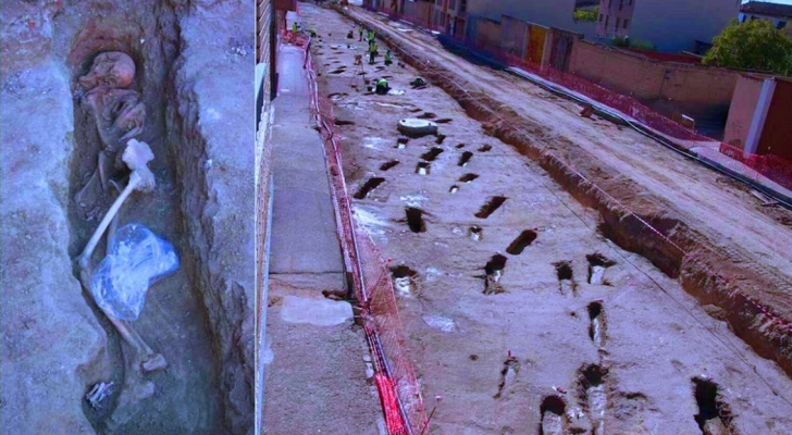 ارشيفية