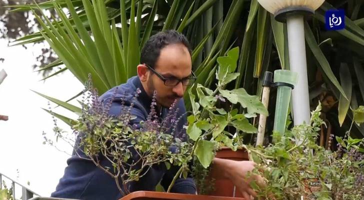 مهندس بيئي فلسطيني يزرع أصنافاً متنوعة وغريبة على درج منزله - فيديو