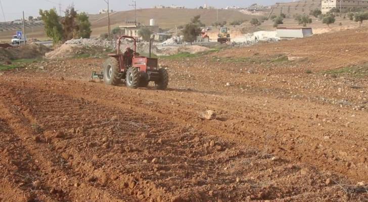 بدء الجولة الثانية لمكافحة دودة الزرع في محافظة المفرق