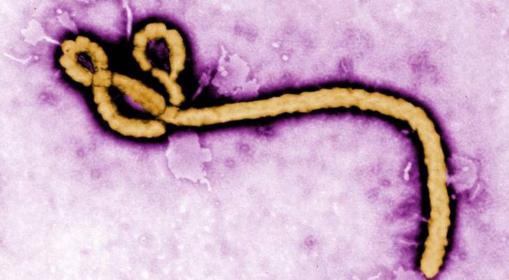"الوباء القاتل" إيبولا يتفشى في غينيا.. ودول مجاورة تتأهب
