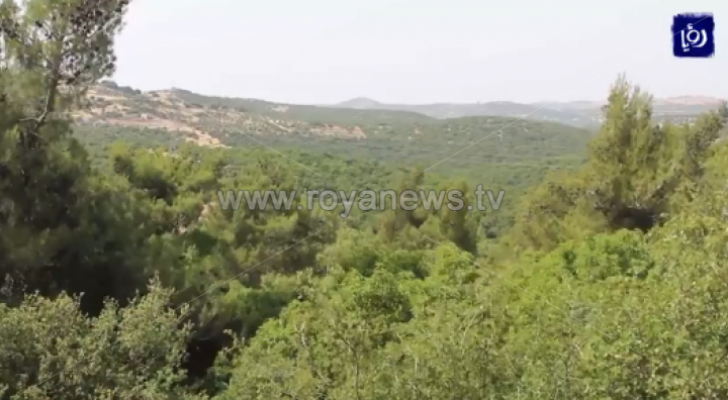 الصورة أرشيفية