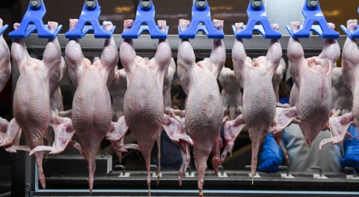 العلي تطمئن الأردنيين بشأن "مخزون رمضان" وتحديد سقوف لأسعار الدجاج