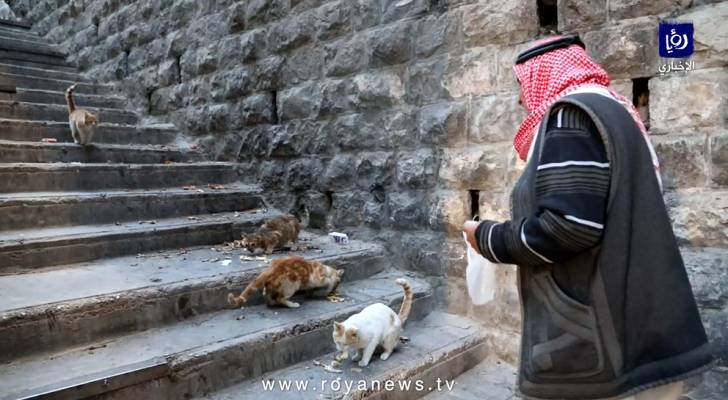 أردني يطعم قططًا وسط العاصمة عمان في أثناء حظر التجول الجزئي.. فيديو