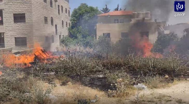 اخماد حريق عدد من أشجار المشمش والزيتون بضاحية الياسمين بعمان - فيديو