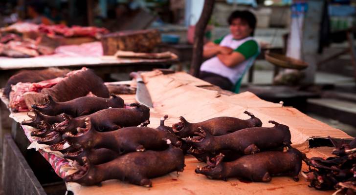 قبل تفشي كورونا.. بيع أكثر من ٤٧ ألف حيوان بري في سوق ووهان