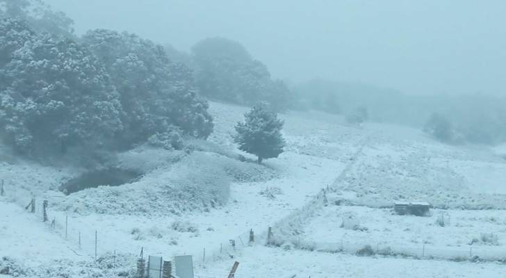 بالفيديو.. الثلوج تغطي أستراليا وتتسبب بانقطاع التيار الكهربائي