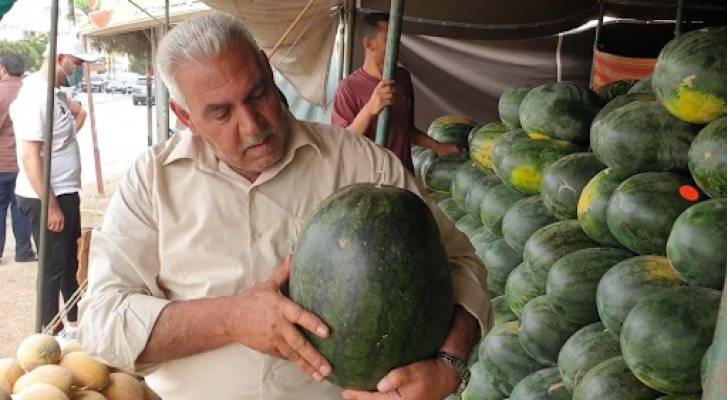توضيح مهم من وزير الزراعة حول سلامة البطيخ الأردني - فيديو