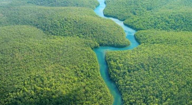 هذه حقيقة صور "نهر الأمازون" وسط الغابات الكثيفة