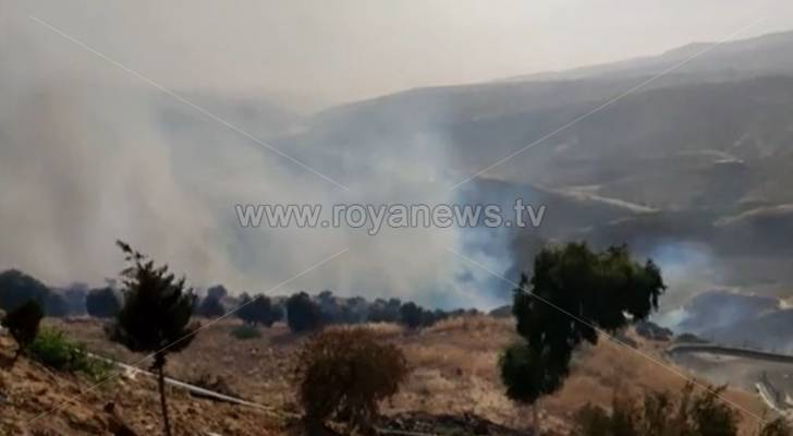 حريق يجتاح مساحات واسعة على طريق عمان جرش - فيديو