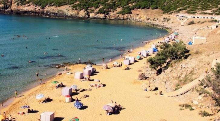 تسمم ١٥٠ شخصا تقريبا على شاطئ في الجزائر