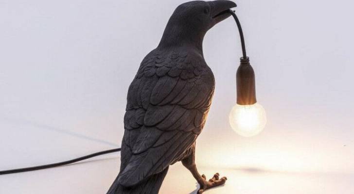 هل كان لـ"الطائر الكبير" دور في انقطاع الكهرباء الشامل عن المملكة؟