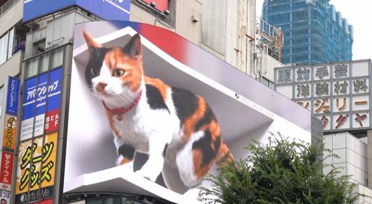 قط ثلاثي الأبعاد يجذب الحشود في طوكيو - فيديو