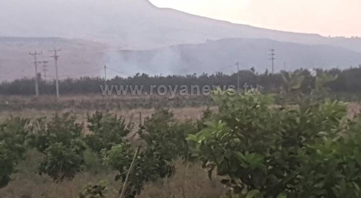 حريق كبير في منطقة الباقورة الأردنية.. فيديو وصور