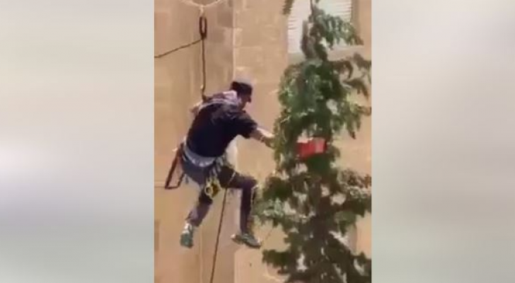 لحظة إنقاذ القطة