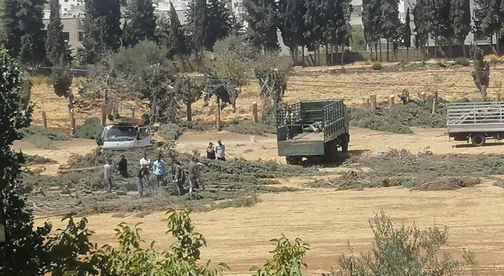 من أجل بناء محطة طاقة شمسية