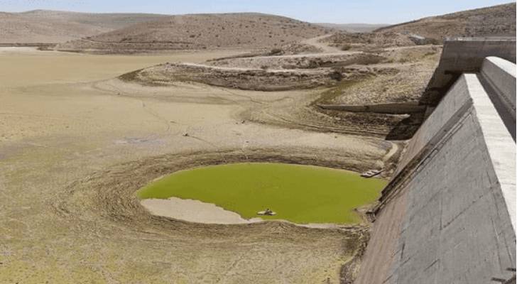 نفوق ٢٠٠ ألف سمكة وخسائر بالملايين جراء جفاف سد الوالة - فيديو