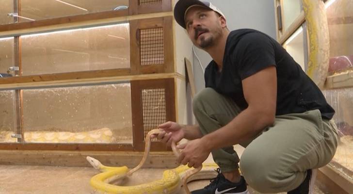 سعودي يحترف تهجين الثعابين في حديقة منزله - فيديو