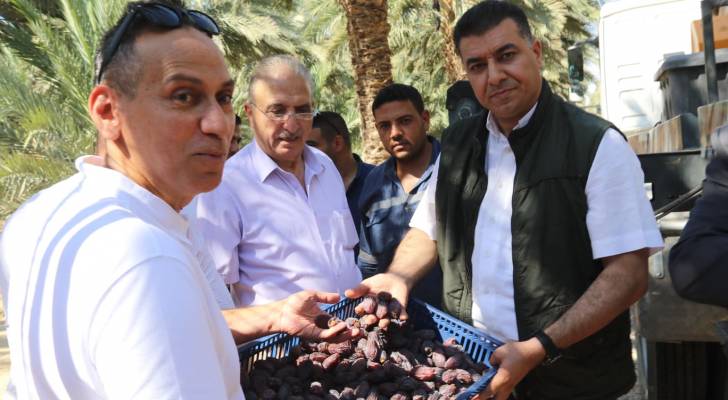 وزير الزراعة يفتتح موسم حصاد التمور الأردنية