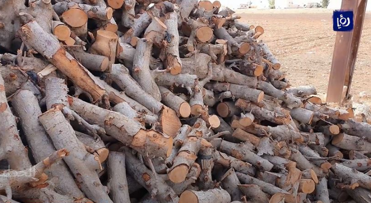 التدفئة على الحطب.. قبلة الهاربين من برد الشتاء