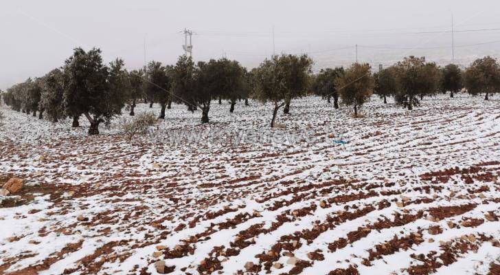 الشاكر يكشف لـ"رؤيا" المناطق المهيأة لتساقط الثلوج في الأردن.. فيديو