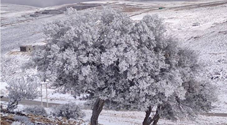 محافظ العاصمة يدعو المواطنين لتوخي الحذر في المنخفض الجوي