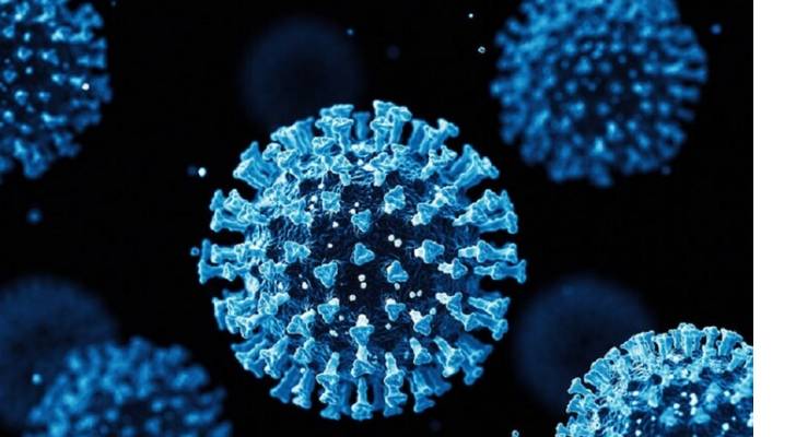 اكتشاف سلالة جديدة من فيروس كورونا في الصين