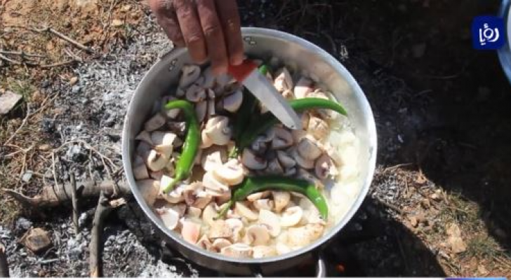 بدء موسم الفطر البري في البادية