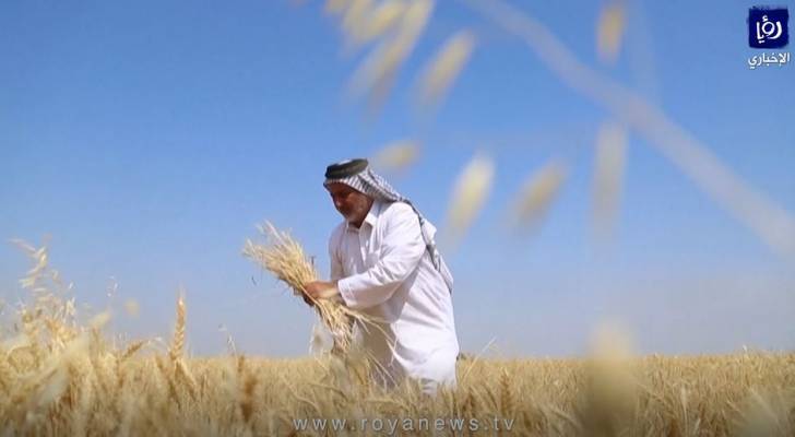 العراق يراقب القمح.. فيديو