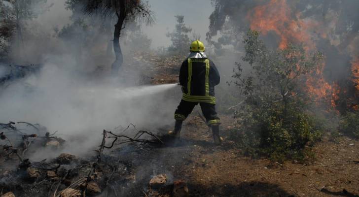 وزير البيئة: نتائج التحقيق بحريق غابات محمية اليرموك ستكون الفيصل